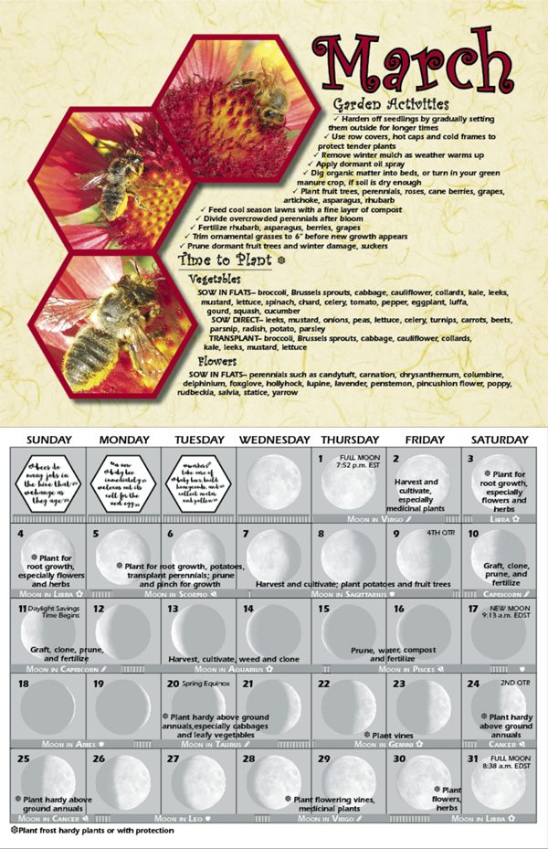 Lunar Calendar Gardening Fasci Garden