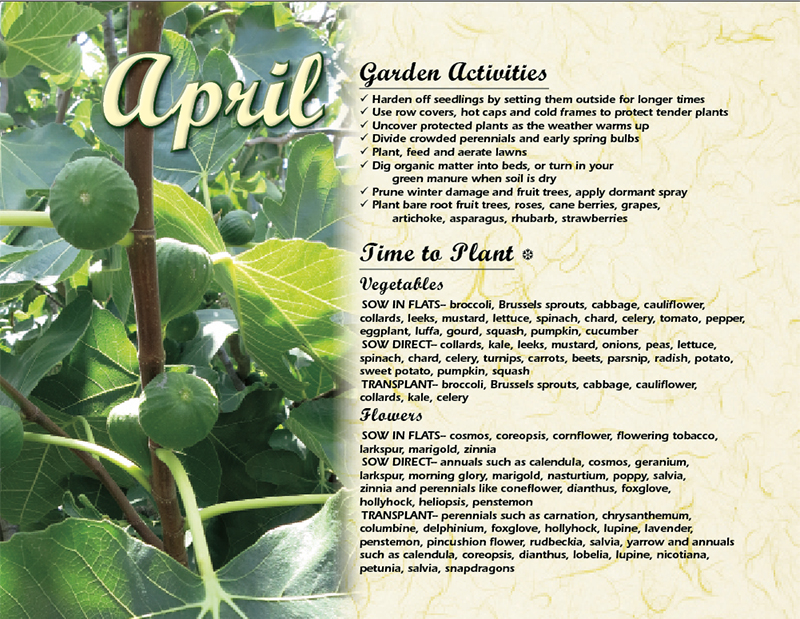 Gardening by the Moon 2021 Gardening by the Moon