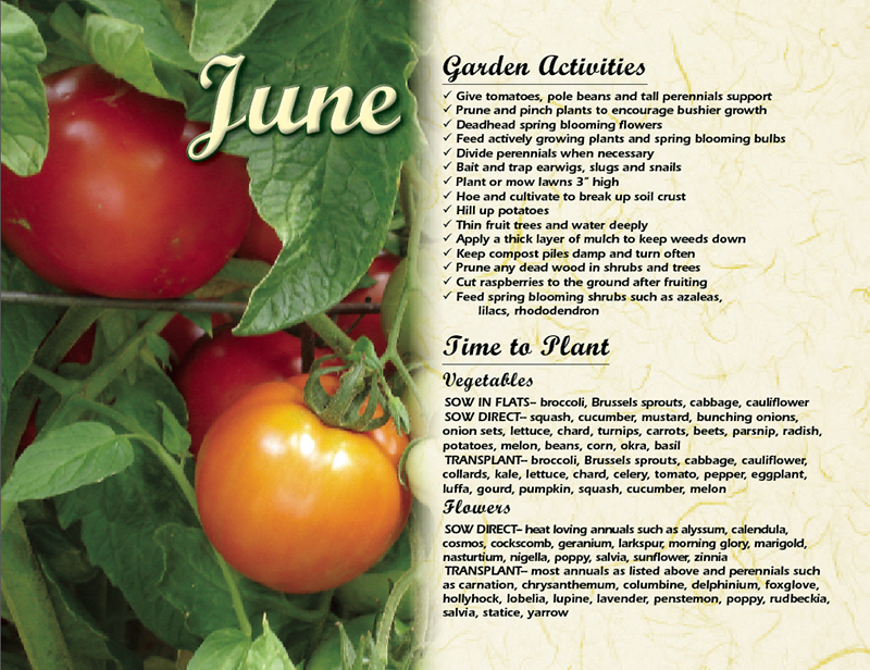 Gardening by the Moon 2021 Gardening by the Moon