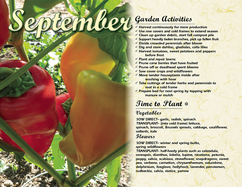 Gardening by the Moon 2021 Gardening by the Moon