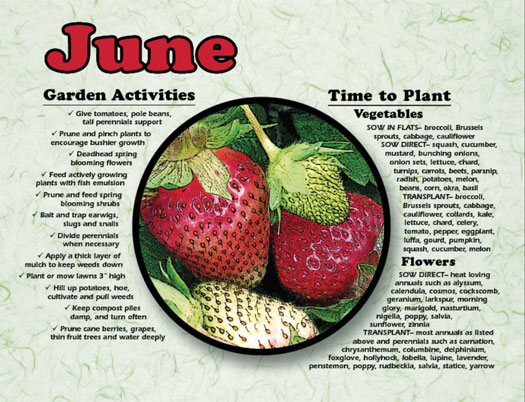 Download How To Garden By The Moon Images